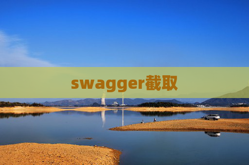 swagger截取